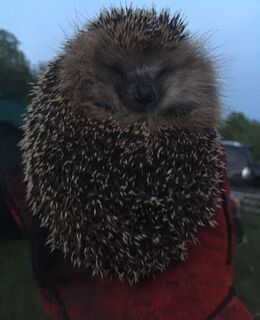 Андрей — фото 1