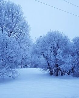 Павел Павел
